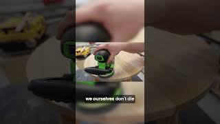 A Journey From Forest to Home 🏡