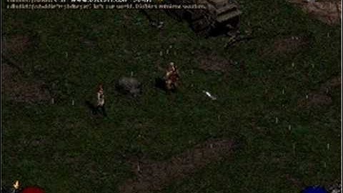 Diablo 2 : Spamming The Spam Botters!