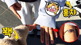 홍챠님에게 현실에서 우결 프러포즈 했더니..결과가?💛 (꽥 & 홍챠 브이로그 2편) screenshot 5