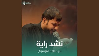 نشد راية