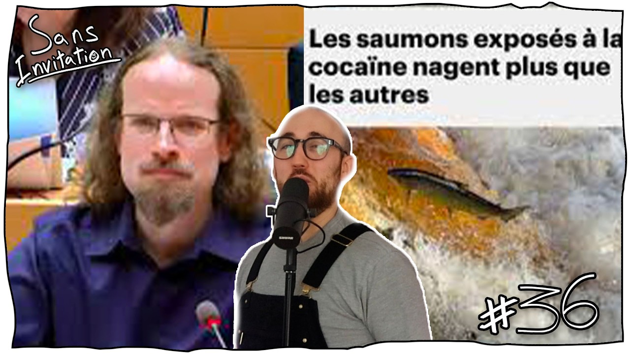 Saumon coké, Gen Alpha en relation IA & Stop Killing Games | SI Ép.36