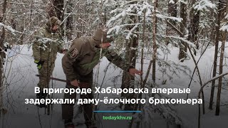 В пригороде Хабаровска впервые задержали даму-ёлочного браконьера