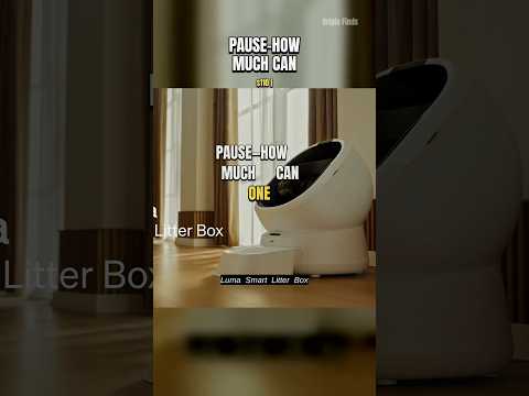 What This Cat Fountain Image Doesn’t Tell You video thumbnail