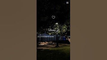 اكتب شيء تؤجر عليه ❤🎧😴 #صوت_جميل #اكسبلور #تلاوة_خاشعة #قرآن #المصحف #لايك #راحة_نفسية