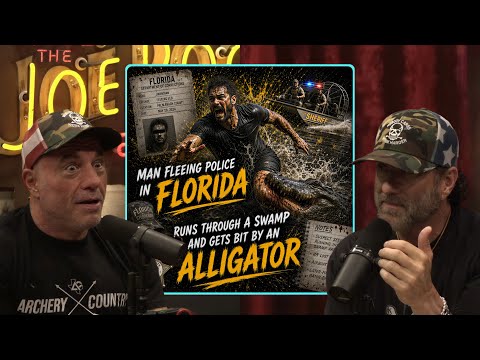 Joe Reacts To A Florida Man Getting Bit By An Alligator While Fleeing Police | Joe Rogan