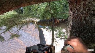 OLD SCHOOL TREE REMOVAL , SIMPLE MANS RIGGING