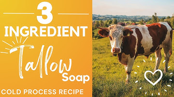 🐄 Making Tallow Soap Cold Process Recipe using 3 Oils