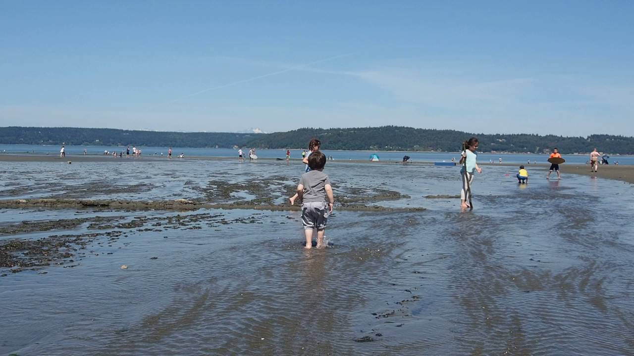 Dash Point Low Tide 1 - YouTube