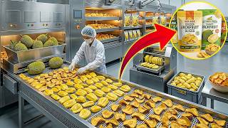 Production Process: How Mega Factories Make Jackfruit Chips | factory automation