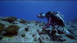 Gombessa IV Genesis - Episode 04 – Blancpain