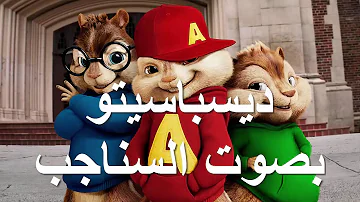 اغنية شرع البعونا بصوت السناجب الثلاثة