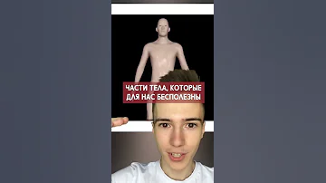 Бесполезные части нашего тела #Shorts