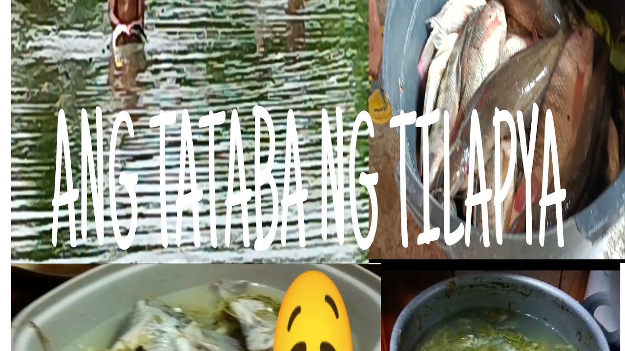 ANG LAKI NG TILAPYA
