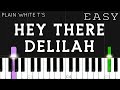 Plain White T’s - Hey There Delilah | EASY Piano Tutorial