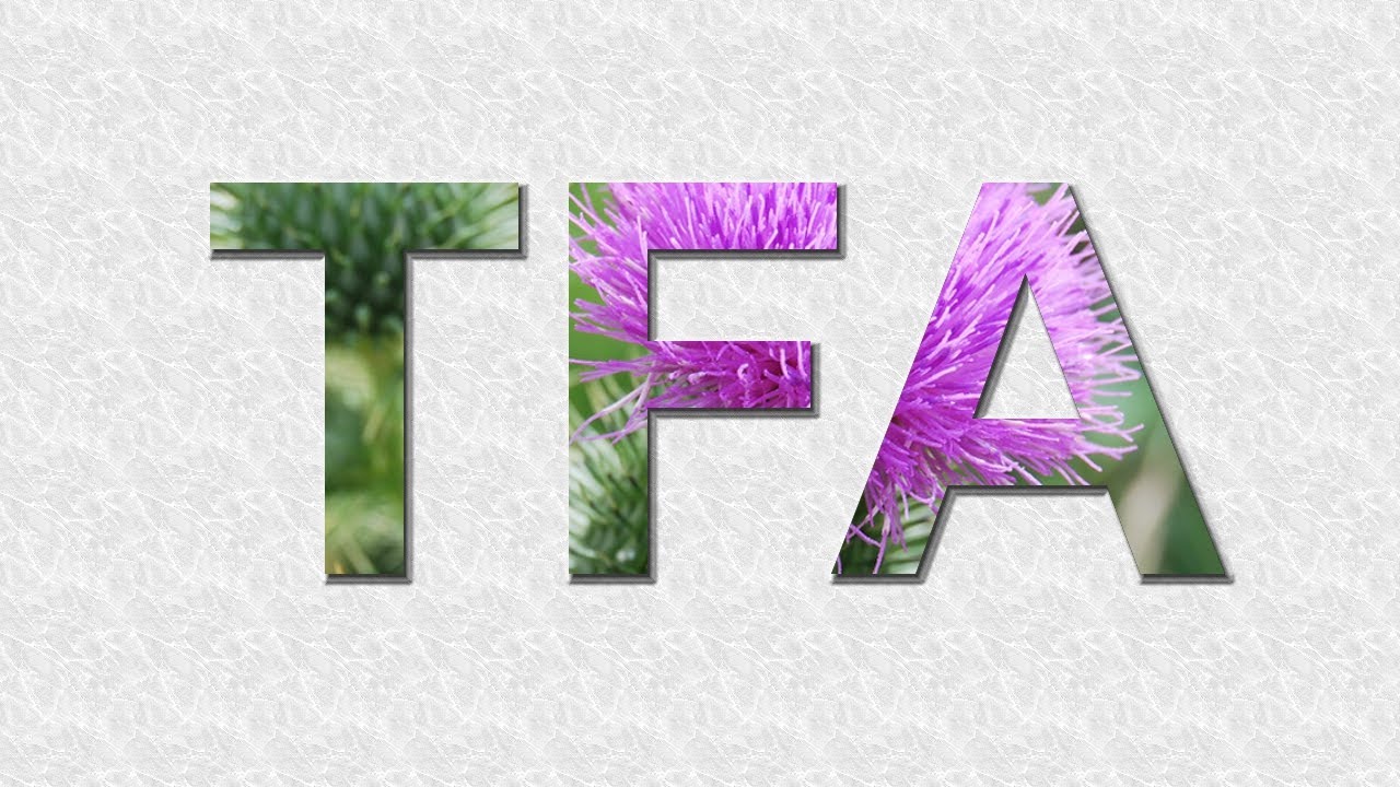 GIMP - Tutorial - Bilder im Text - Deutsch - HD - YouTube