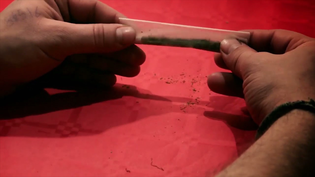 Stoner Club x Beat - Dr Doums (CLIP)