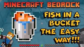 Fish in a Bucket Farm - Catch 