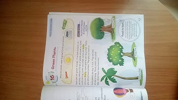 EVS class 1 chapter 16 Green Plants part 1