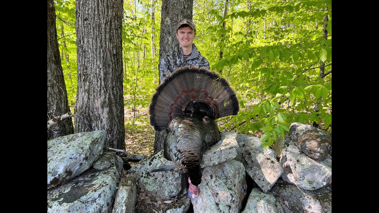 New Hampshire Turkey hunting! 2023 delayed double YouTube