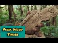 Starting a fire using Punk wood || FLINT AND STEEL.