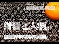 刺し子配信 3月13日 | 無意識の中の針目の美しさ | Japanese Live Streaming about stitches = who the person is.