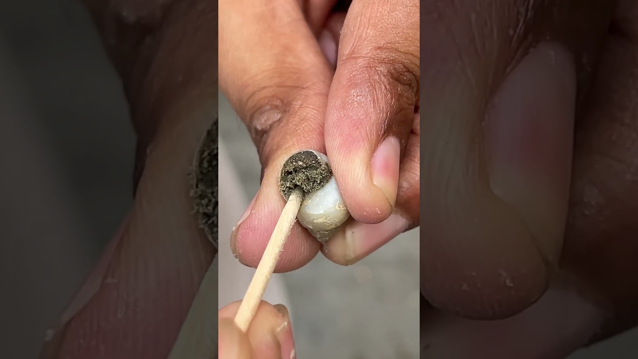 SNAIL SHELLS ARE STRONG AS TURTLE SHELL