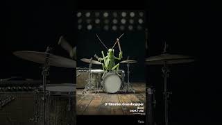 grasshopper drummer @mirecat