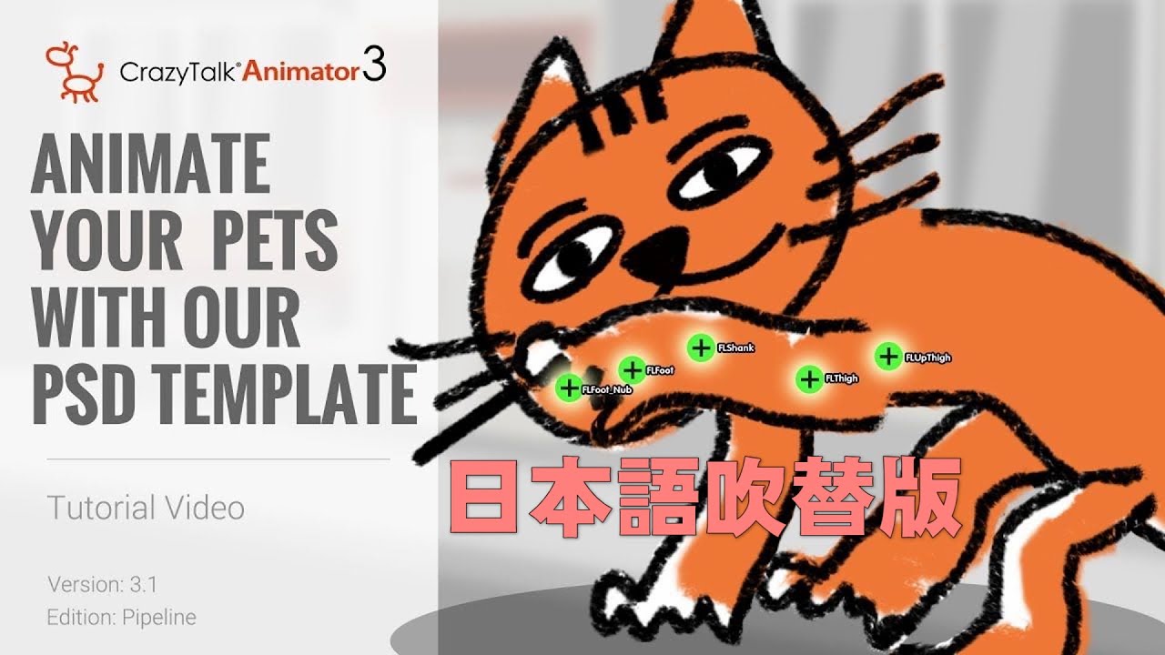 jpn-crazytalk-animator-3-1-pipeline-tutorial-animate-your-pets-with-our-psd-template-youtube