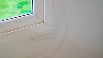 Red Flags Property Inspection Guide: Roof, Windows, Flashing, Mold, Railing, Stairs & Landings