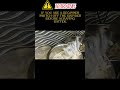 Wet Grinder Working process Super trick Easy tips #shorts #viralvideo #youtubeshorts #viral #youtube