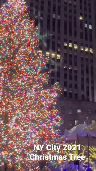 NY City Christmas Tree 2021