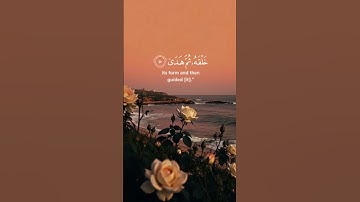 (قال فمن ربكما يا موسى)(لَّا يَضِلُّ رَبِّي وَلَا يَنسَى) #محمد_ايوب #سورة_طه #محمد_أيوب