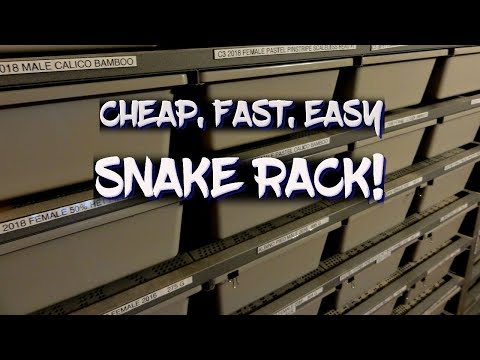 snake rack system for sale