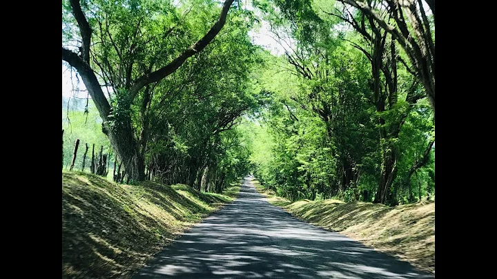 Nostalgic Jamaica Poem by Sheila Thompson
