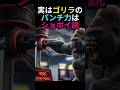 実はゴリラのパンチ力はショボい説