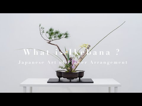 Vídeo: És un arranjament floral d'ikebana?
