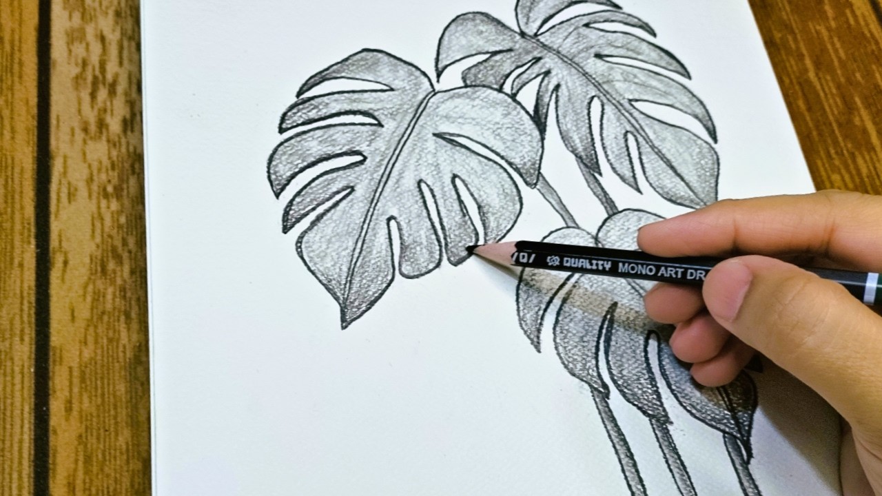 How to Draw Realistic Monstera Leaves | Easy Graphite Shading Tutorial