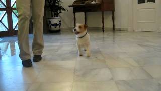Imagen 030.avi