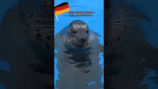Mein aktueller Zustand beim Deutschlernen#deutchland#germanlearningjourney#dailydeutschdosemitme😍🥰