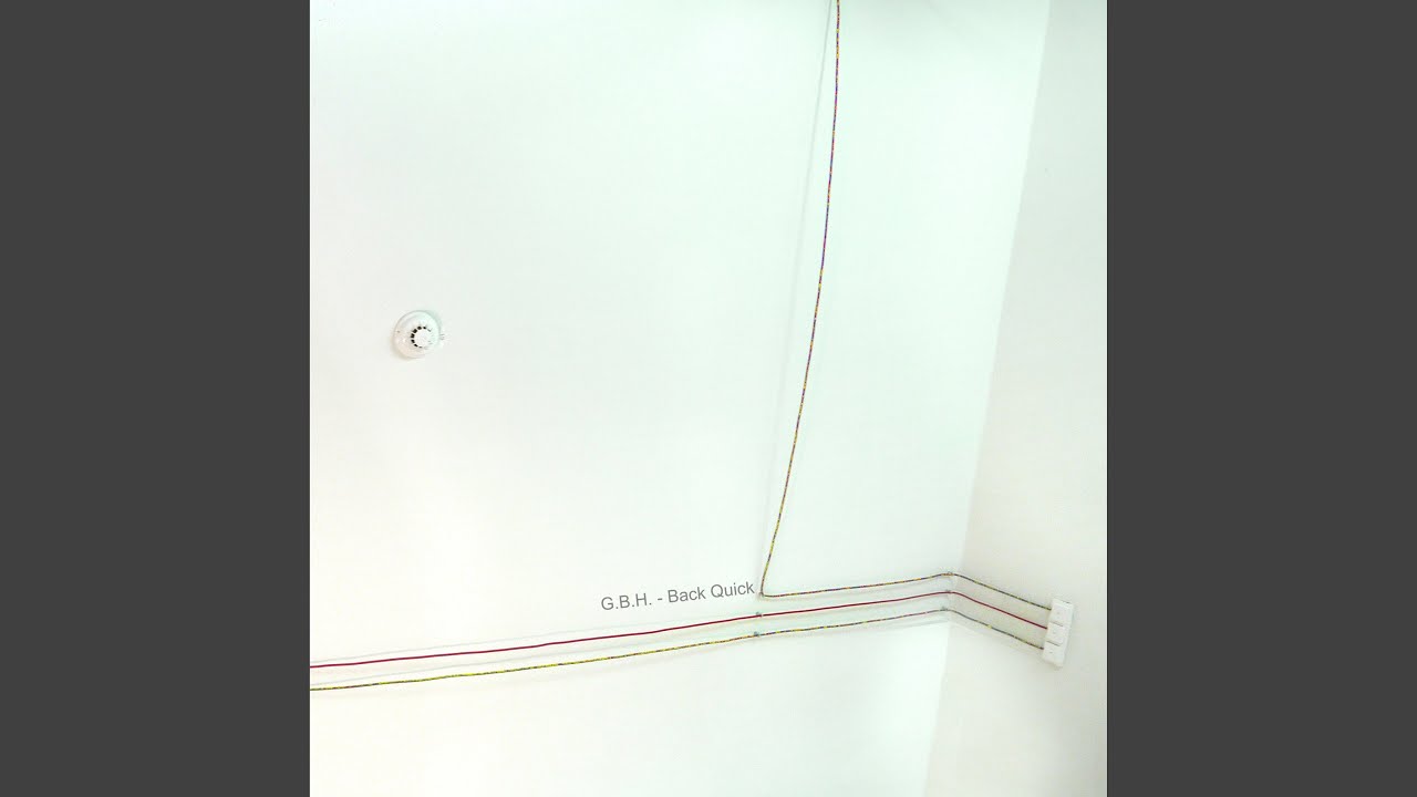 All Night Scream In The House