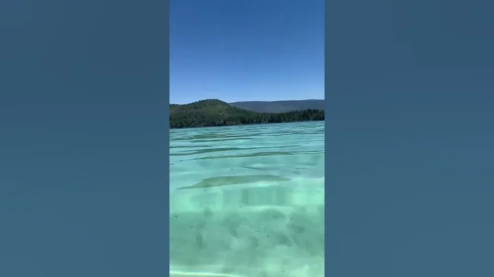 Johnson lake British Columbia #shorts