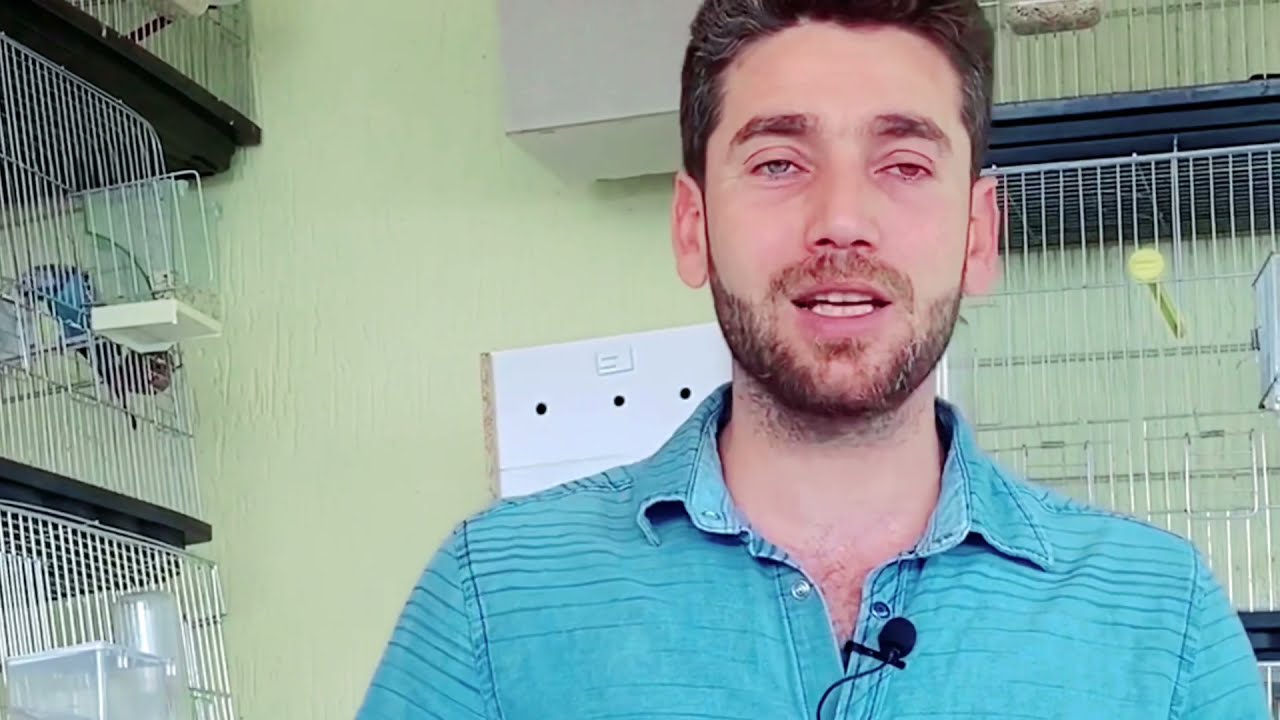 صدمت عند زيارة صديقي مربي الطيور في البلكونة مخاطر تربية الطيور خارج المنزل