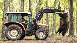 Un sanglier monstrueux abattu - Comment des agriculteurs texans ont-ils capturé ce sanglier alpha ?