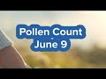 Allergens light today as pollen count drops