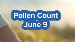 Allergens light today as pollen count drops