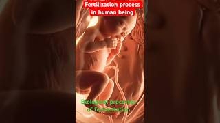 How sperm and eggs fertilized to give  zygote , embryo and then  develops into baby…✍🏼✍🏼#biology