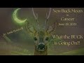 New Buck Moon in Cancer WHAT the BUCK is GOING ON?! (Astrology)