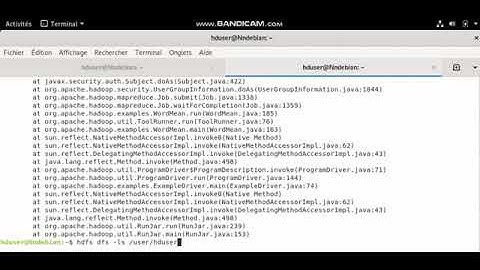 Exécution Du MapReduce avec hadoop sur Docker