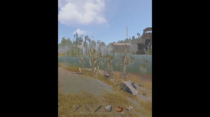 funny map generation #rust #map #texture