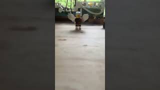 Leaked one piece fog#lego #legoonepiece #devilfruit #onepiece #pell